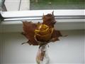 Tvorivý ateliér - ruže z lístia